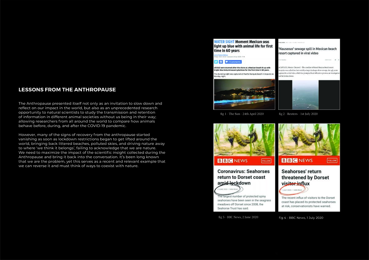 Research Document Page 19